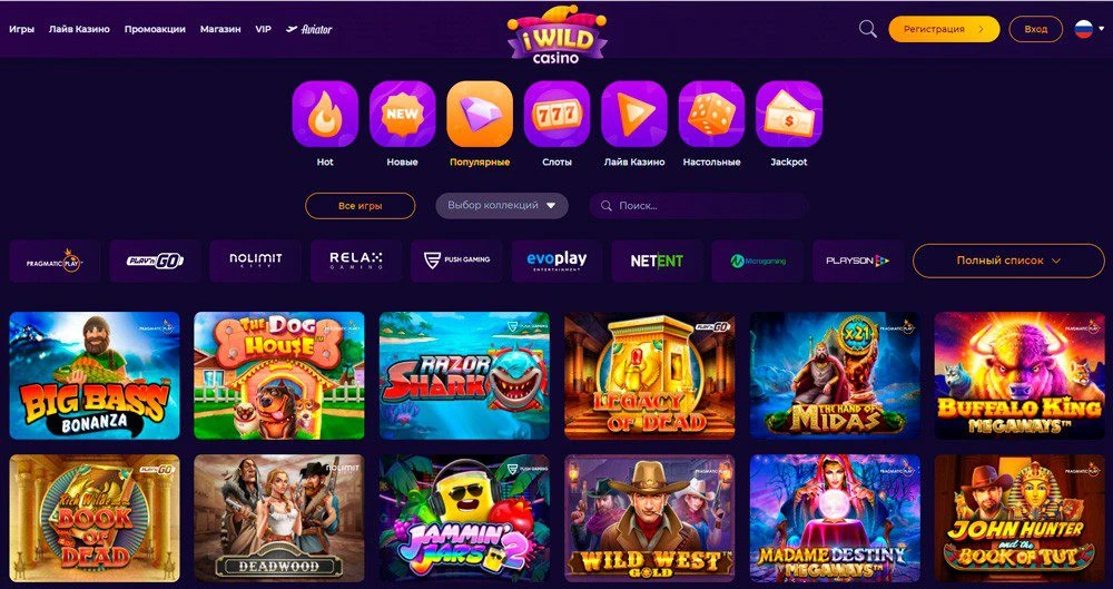 iWildCasino 2 iWild Casino